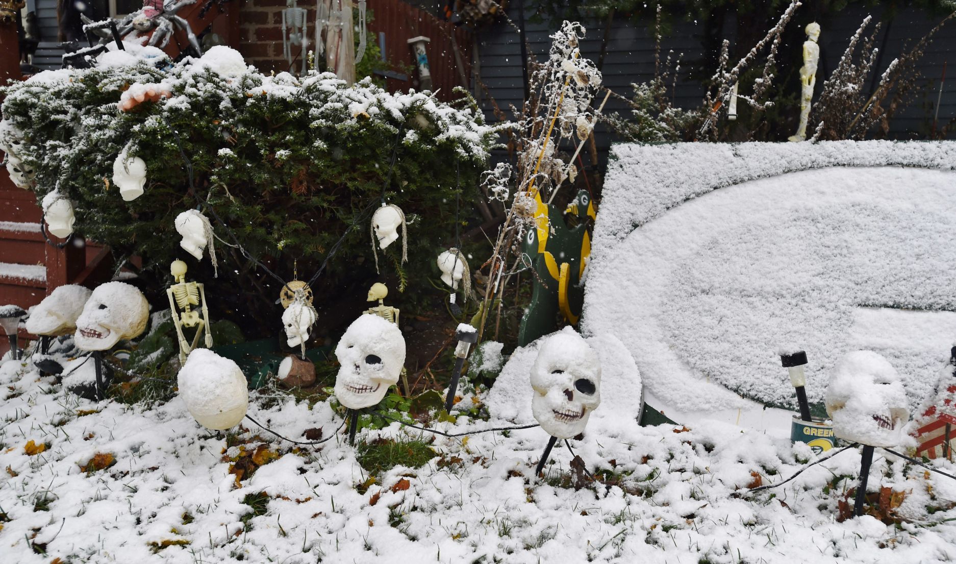 This is Halloween?